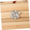 Sosoport 12pcs Stainless Steel Thumb Screws for Air Fryer Rotisserie