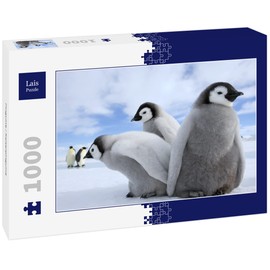 Lais Puzzle Penguins / Emperor Penguins 1000 Pieces