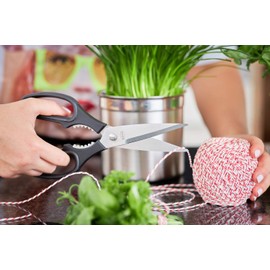 Rosle, Kitchen Shears, Silver