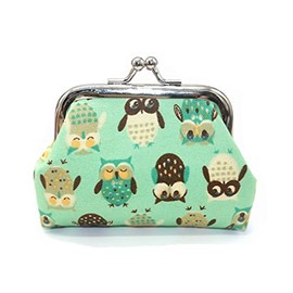 Adam Victor Lovely Owls Pattern Coin Purse- Mini Owl Design Clasp Pouch Wallet Key Bags Money Bag, Perfect Present for Girls Purses Women Wallets Buckle Party Favors