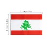 Ceclflag Lebanese String Flag Banner, 16 ft 20 Mini Flags,