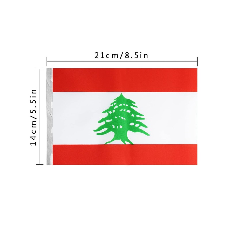 Ceclflag Lebanese String Flag Banner, 16 ft 20 Mini Flags,