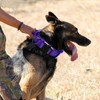 Tactical Military Dog Collar - Adjustable Nylon, Heavy Duty Metal