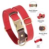 Didog Soft Padded Leather Collar for Large Dogs Classic Dog