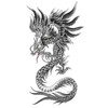 Dragon Tattoo Dragon Tattoo Fake Tattoo Temporary Tattoo XQB (XQB602)