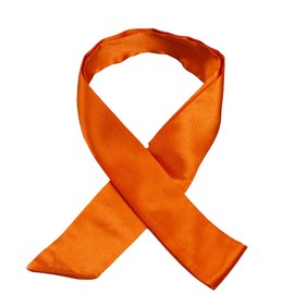 HANGSET Ribbon scarves for women, handbags, ribbons, fashion accessories, headbands, Orange