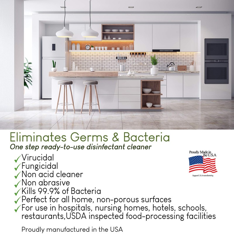 Theochem In-Cide Disinfectant Spray EPA Registered Kills 99.9% of Germs