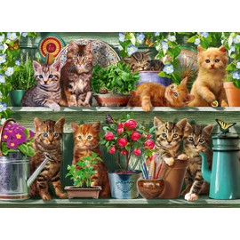 Ravensburger Puzzle 12000205 Cats on the Shelf 500 Pieces Puzzle for Adults and Children from 12 Years, Animal Puzzle