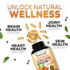 Nature's Nutrition | Cúrcuma con BioPerine 1950mg | Soporte Articular