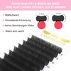 Ellipse Flat Eyelash Extensions 0.20 Thickness D Curl Mix Tray