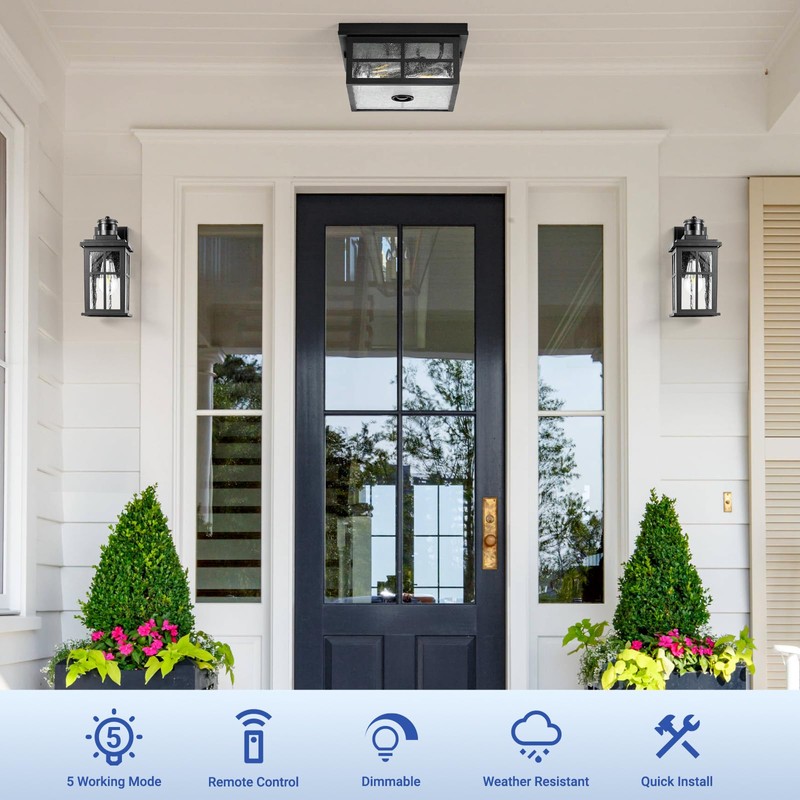 VIANIS Motion Sensor Outdoor Ceiling Light with Remote Control, 2-Light