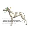 Extra Soft Martingale Dog Collar for Greyhound Saluki Whippet and