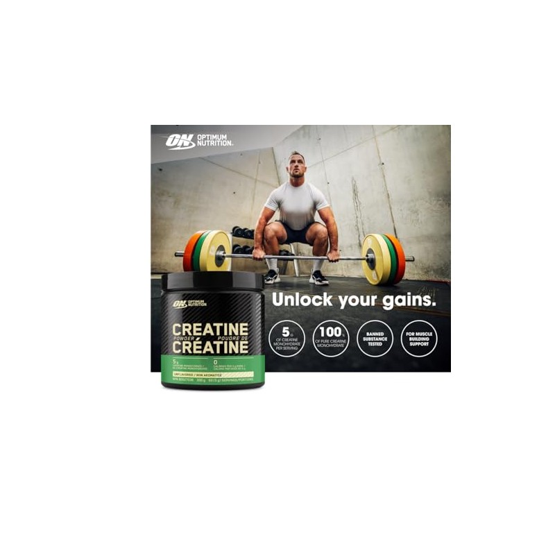 Optimum Nutrition Optimum Nutrition 100% Pure Creatine Monohydrate Micronized Powder,