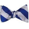 tiemart Striped Self-Tie Bow Tie (Royal Blue and SIlver)