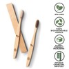 Greenzla Bamboo Toothbrushes for Adults – 12 Pack Wooden Toothbrush