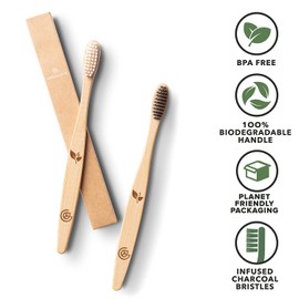 Greenzla Bamboo Toothbrushes for Adults – 12 Pack Wooden Toothbrush Set with Charcoal-Infused Soft Bristles, Natural Oral Care for Daily Use