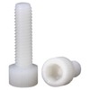 Nylon PA66 Plastic White Color Metric Knurled Hex Socket Head