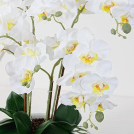 Ziwon Artificial Orchid Flowers Potted in Ceramic Pot, White Faux Phalaenopsis Orchids for Table Centerpiece, Realistic Fake Flower in vase for Home Office Decor Indoor