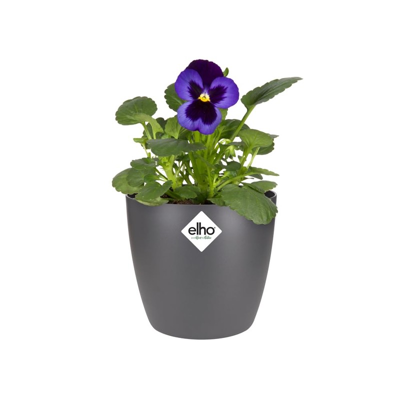 elho Brussels Round Mini 10.5 - Flower Pot for Indoor