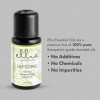 Elllia Ellia Diffuser Essential Oil | Get Going Blend| 15ml,