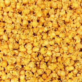 Deanan® - 1 Gallon Bag of Salsa "n" Cheddar Popcorn