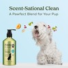 Pawfume Dog Shampoo and Conditioner – Hypoallergenic Dog Shampoo for