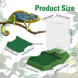 Reptile Water Dish Food Dish with Bottle, Prevent Drowning Water Dispenser, Water Feeder Automatic Water Feeding Accessories for Terrarium Tank, Turtle, Geckos, Lizards, Amphibians (Green)