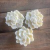 Unbranded Conditioner Bar, hair conditioner bar, Conditioner Bar, Eco Friendly,