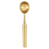 Stainless Steel Ice Cream Scoop, Multipurpose Cookie Scoop with Long