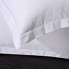 Gyulin Pack of 2 100% Cotton 300 Thread Count European