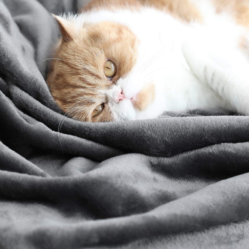 TASTHROW Cuddly Blanket, Soft Fleece Blanket, Sofa Throw, Soft and