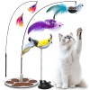 Sailstart Interactive Cat Toy for Indoor,Include