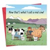 Twizler Funny Card - Highland Cow - Scottish Funny Birthday