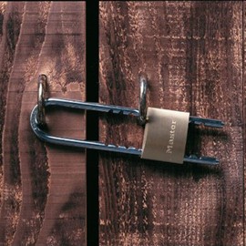 Master Lock Solid Brass Long Adjustable Shackle Padlock, 45 mm Size