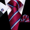 Hi-Tie Classic Mens Silk Ties Set 4 PCS Necktie Pocket