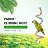 TogyGooty Bird Perch,Bird Rope Perch & Rope Perch,Bird perches for