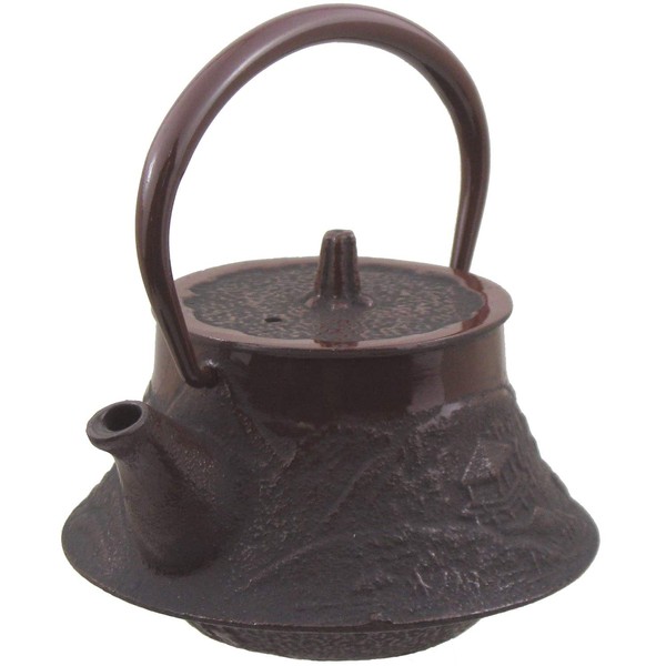 Nagao Mizusawa x Tsubame Sanjo Nanbu Teapot, Yamasui, 6.3 fl
