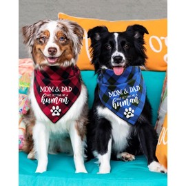 YHTWIN My Parents are Getting me a Human, Gender Reveal Photo Prop Pet Scarf Accessories,Plaid Dog Bandana,Pack of 2