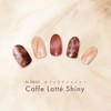 BEAUTYAVENUE Hand Use, 24 Pieces (Cafe Latte Shiny)