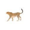 Schleich Cheetah Female Realistic Wildlife Toy Figurine for Kids Ages