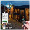 Tedeligo Universal AC 220V 230V 1 Channel Wireless Remote Control