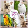 BeautyHunt Cat Nail Clippers Pet Claw Trimmers Scissors for Kittens,