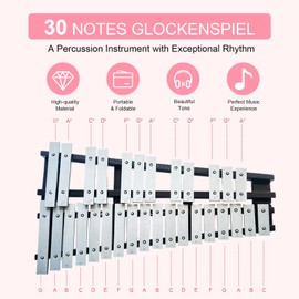 RIXGWND 30 Note Glockenspiel Xylophone Bell Kit,Foldable Xylophone Percussion Instrument with 4 Mallets,Shoulder Strap and Carrying Bag,Professional Percussion Instrument Set for Adults & Students