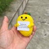 PLWalker Emotional Support Mango Gifts Crochet, Positive Fruit Cute Funny
