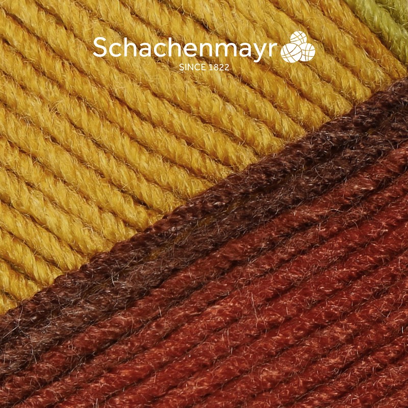 Schachenmayr Soft & Easy Colour, 100 g Earth Colour Hand