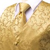 Hi-Tie Gold Mens Silk Jacquard Suit Vest Necktie and Pre-tied