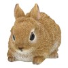 Figuren Shop GmbH Garden Rabbit Figurine - Weatherproof & Hand-Painted