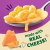 Annie's Organic Shells and Real Aged Cheddar, Made with Real