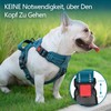 PoyPet No Pull Dog Harness, Reflective Dog Harness for Dogs