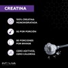 Inteliva Pure Creatine Monohydrate Powder, Unflavored Pre-Workout & Gym Supplement